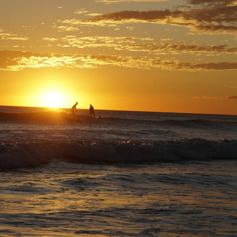 Paddle surfers out on the water at sunset in El Salvador