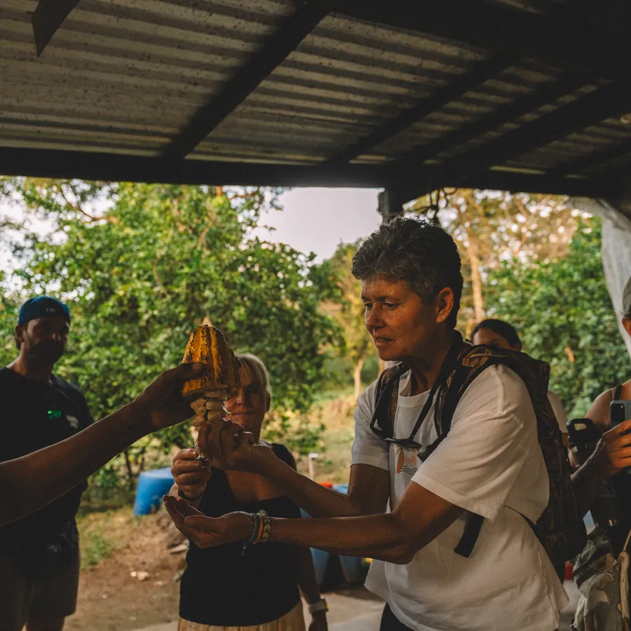 Guests toasting together during the visit to a coffee farm